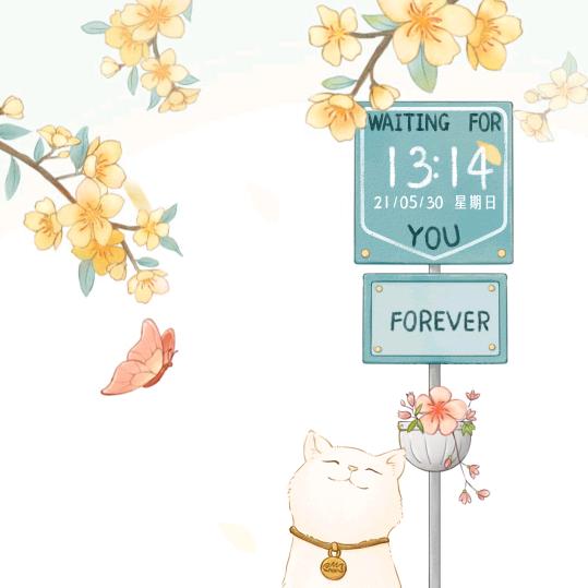 小宋老师的圈外女友