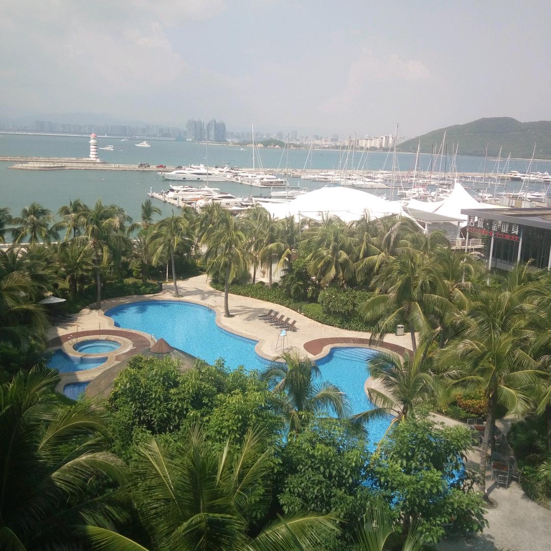 以德为邻