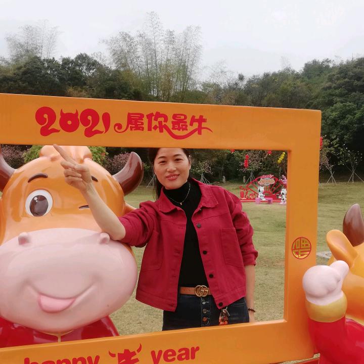 🐰汤℘࿐九洲盛宴