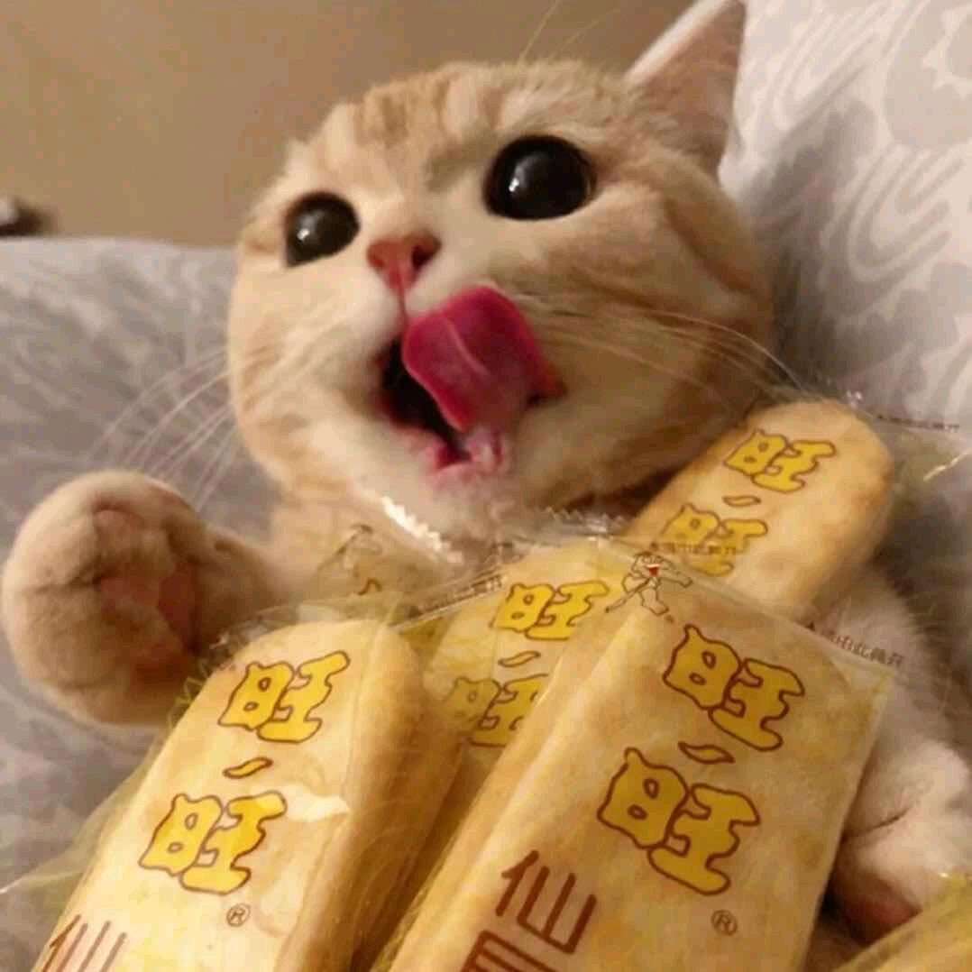 惑萱🎷