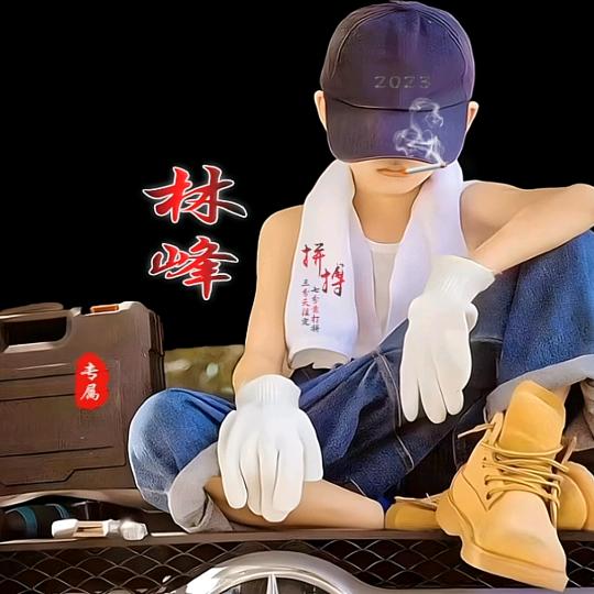 ◣新合联广告◢林峰