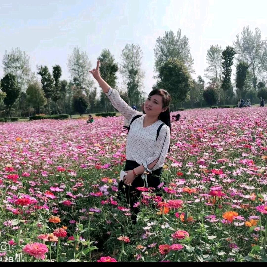 七妹