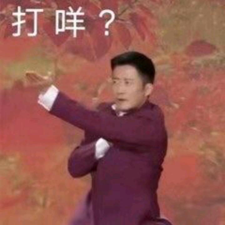 开飞机的舒克