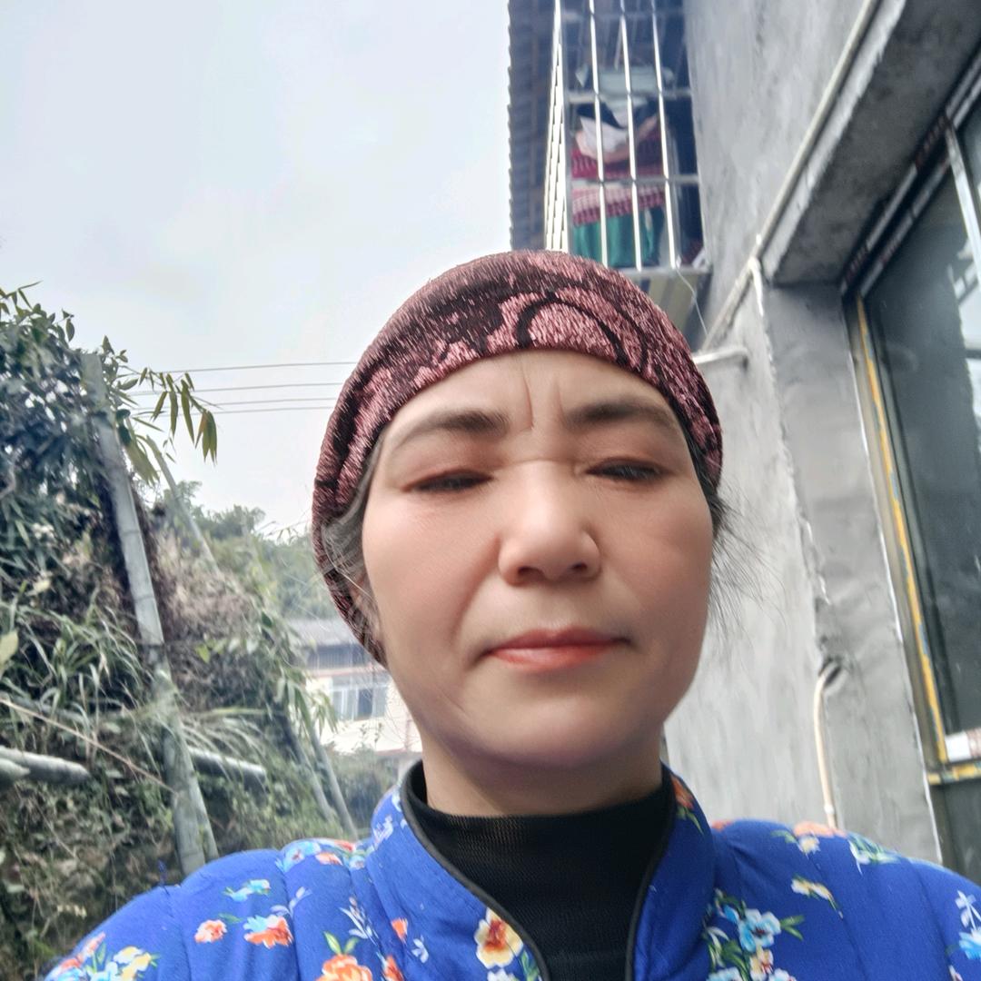 蜂奶奶蜜蜂养殖