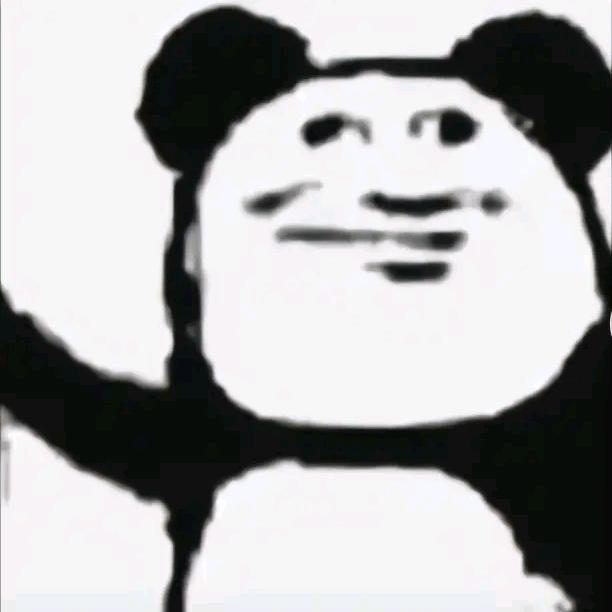 开朗的网友队长