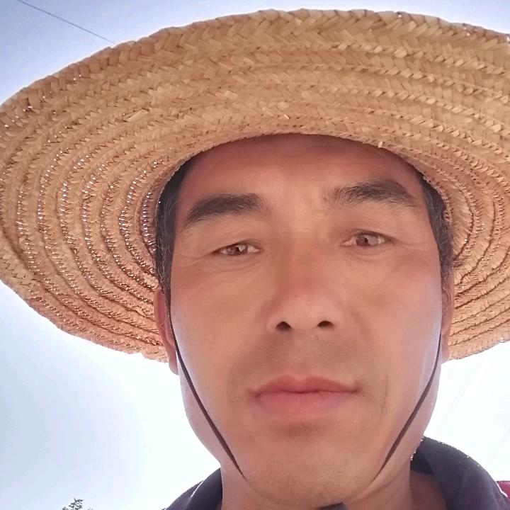 美好人生
