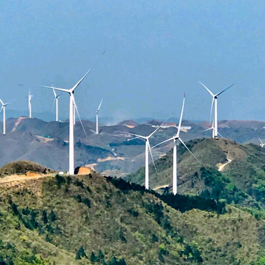 青山界脚下的菇凉