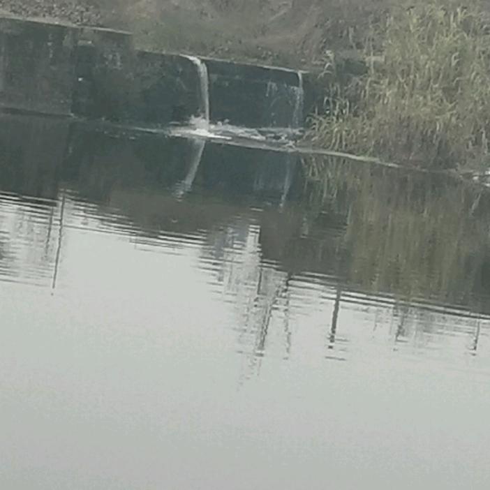 艾舒寅航