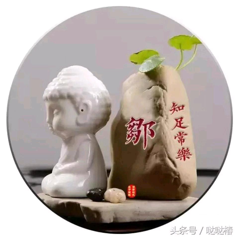 仙人板板