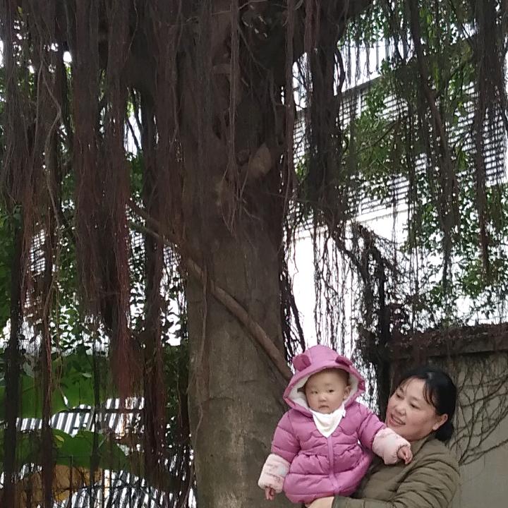 用户2656952515236