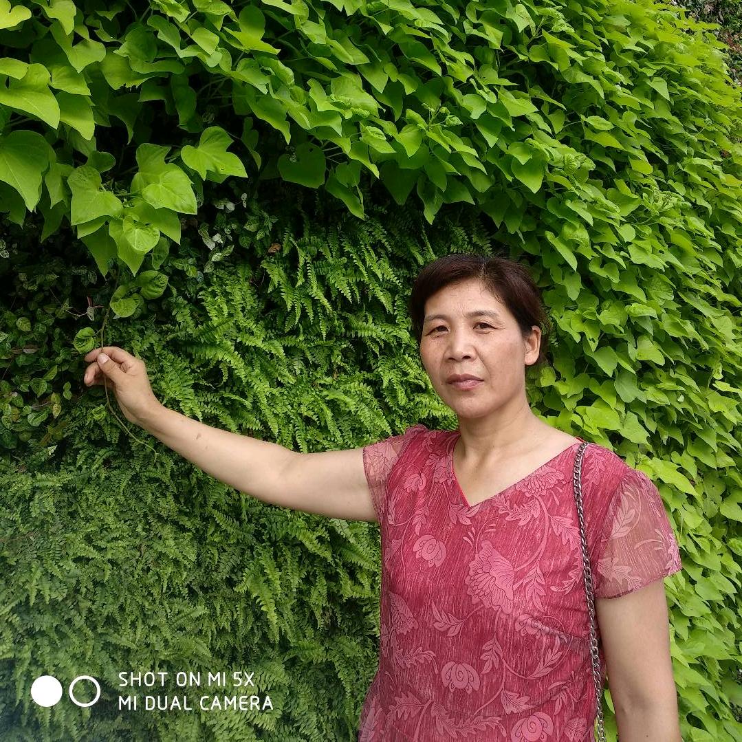 红叶:晚上7点20开播