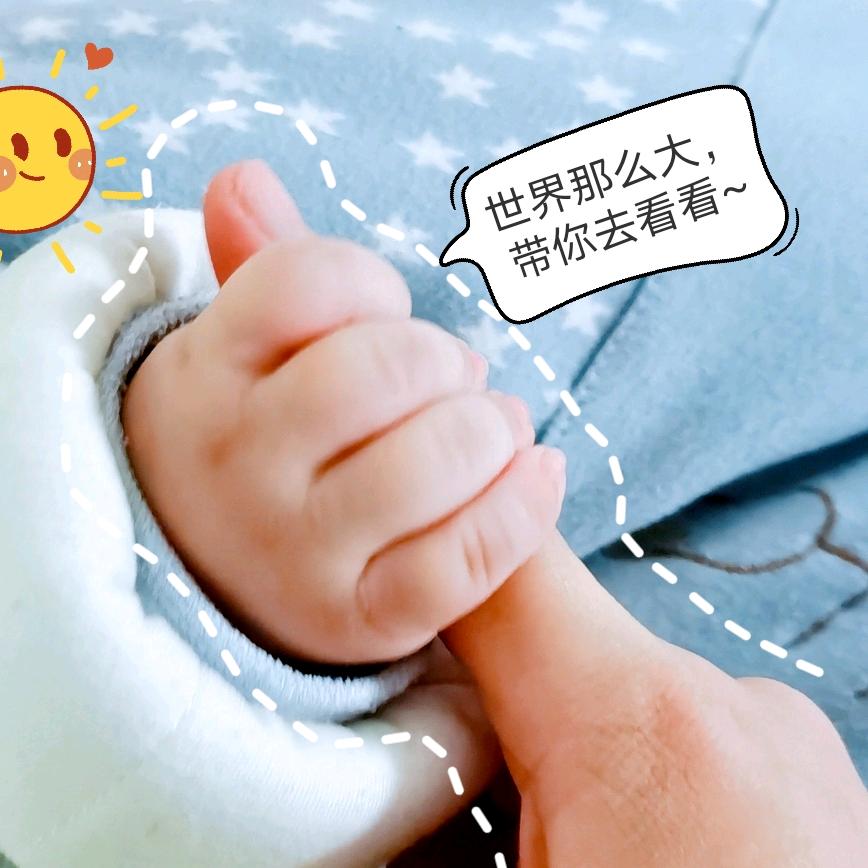琛