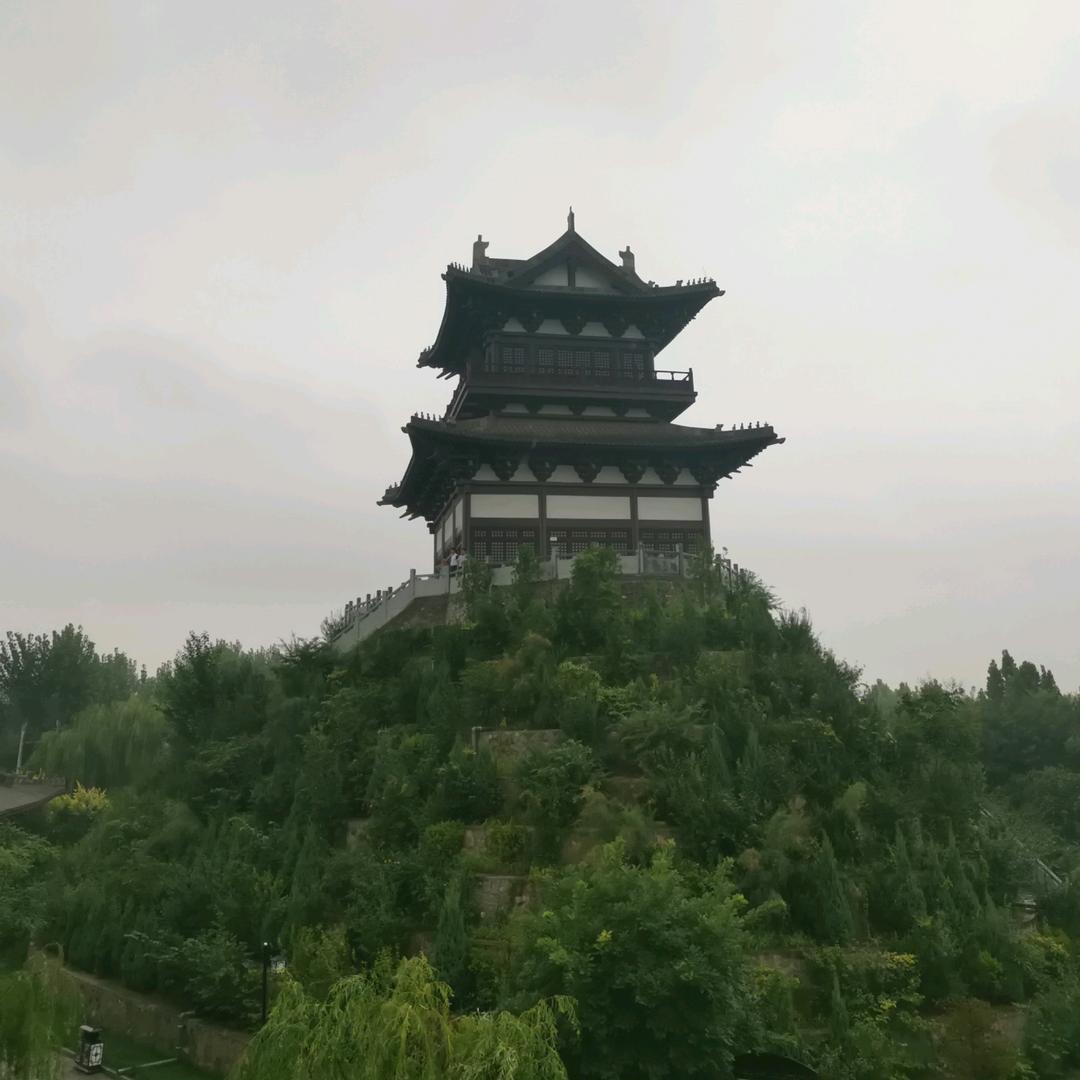 逐梦前行