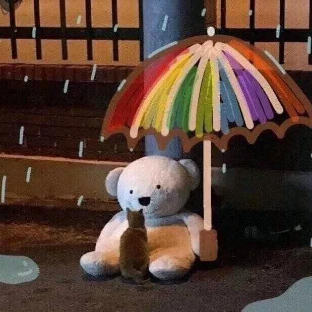 温儒玉