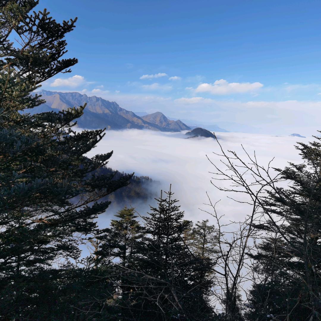 正仑Xian