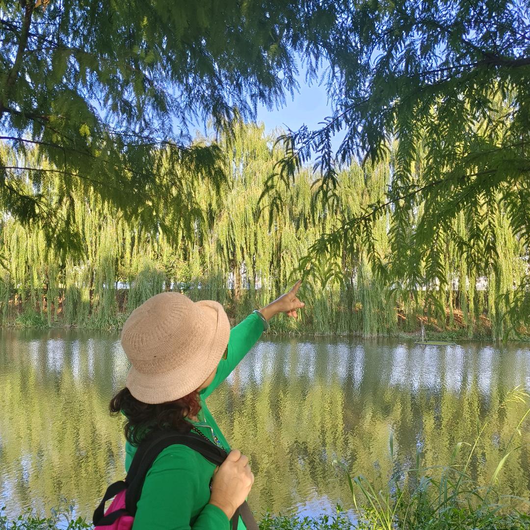 水墨兰亭（拒私聊）