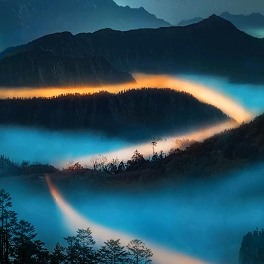 鱼悦水中游