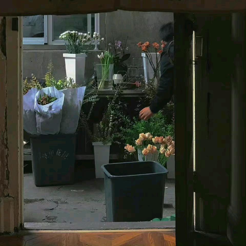 紫菜叶子（见过十个勤天，偶遇3480版