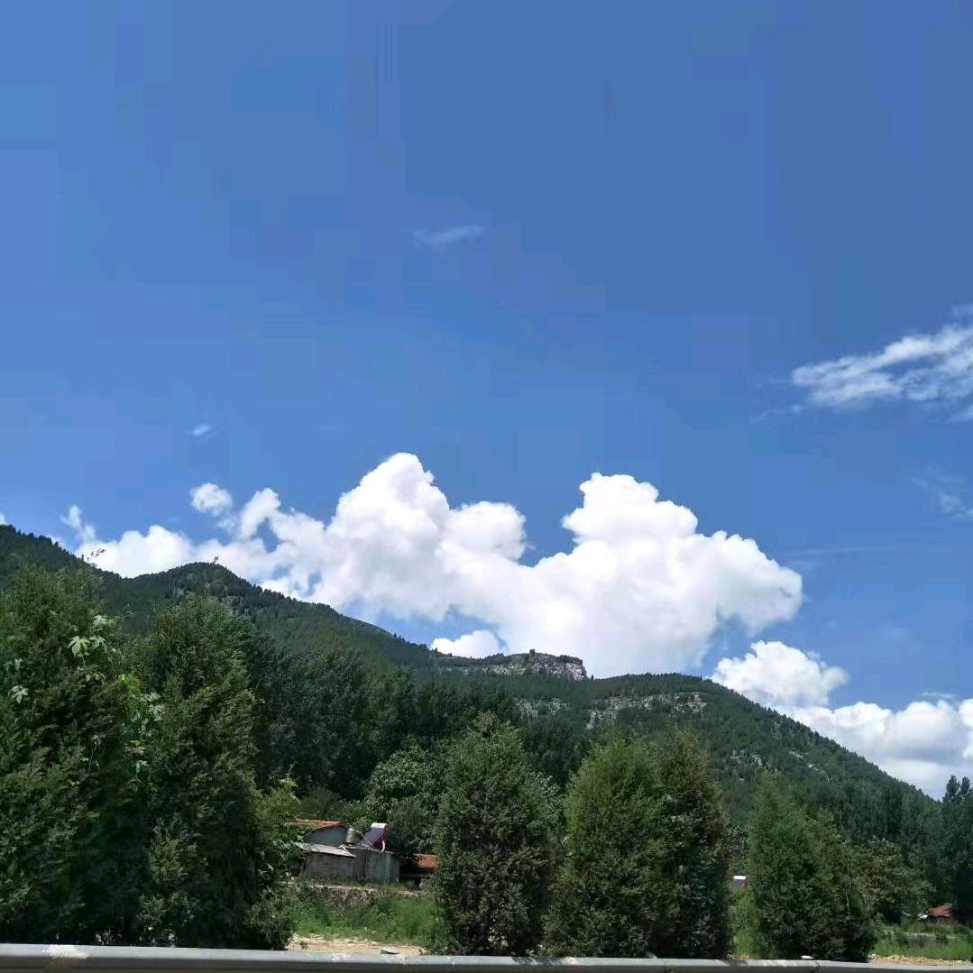 文官根艺