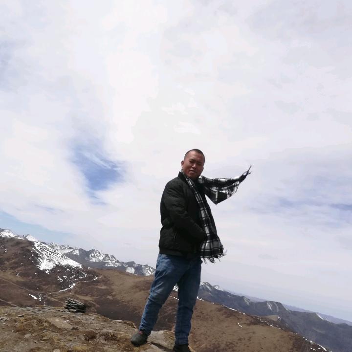 广告安装，照克猫
