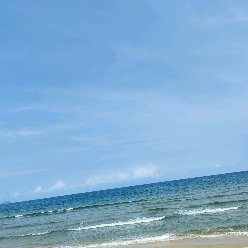 海洋心
