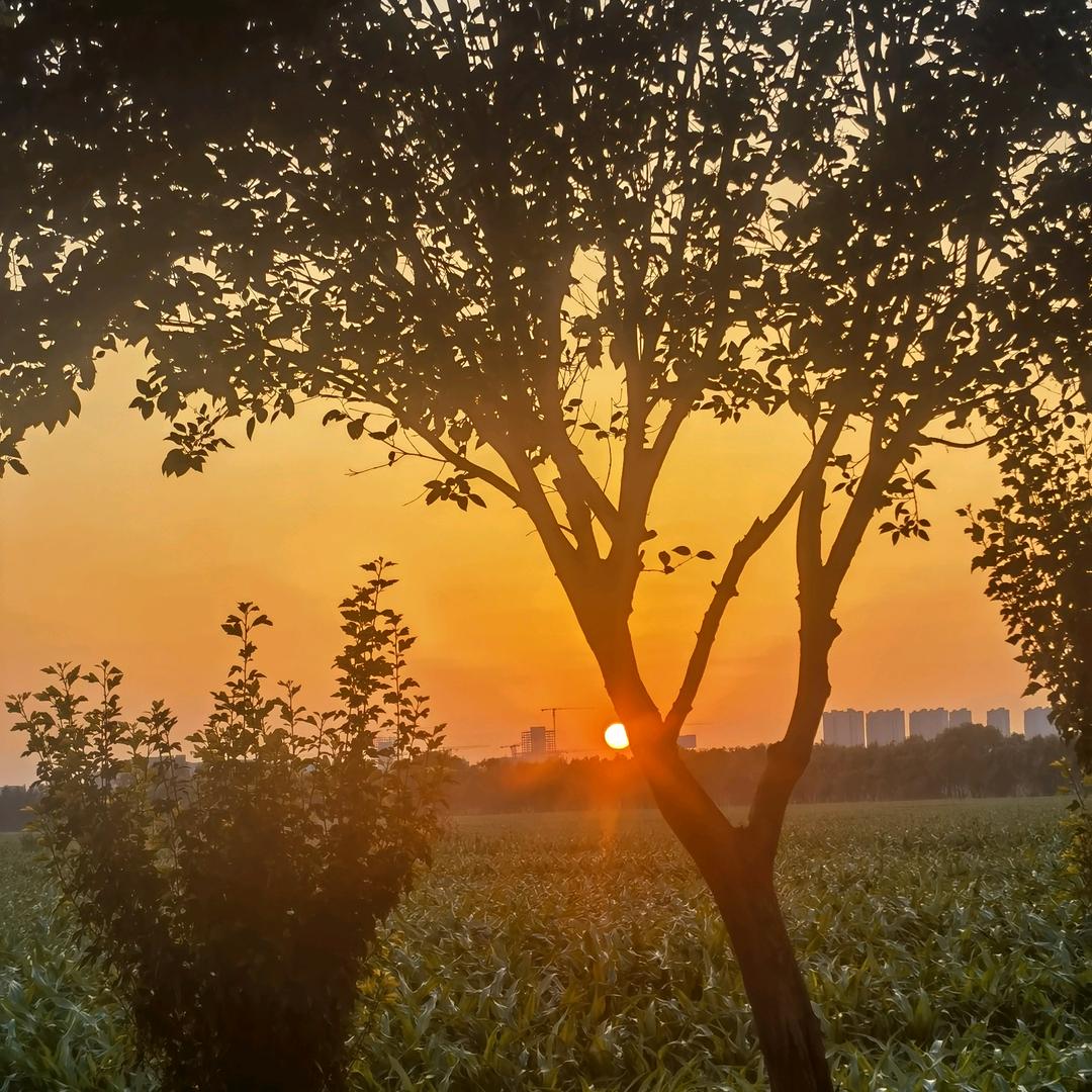 阳光（好物分享）