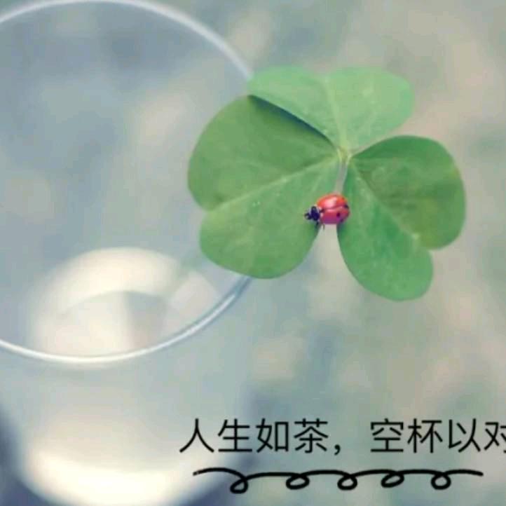 合沟马扎烧烤