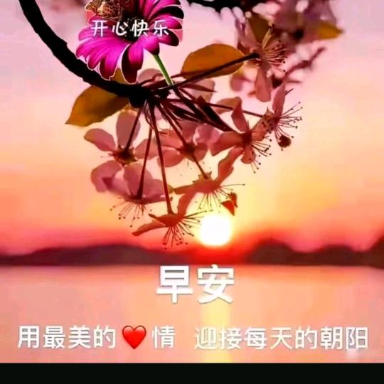 真心亨丽
