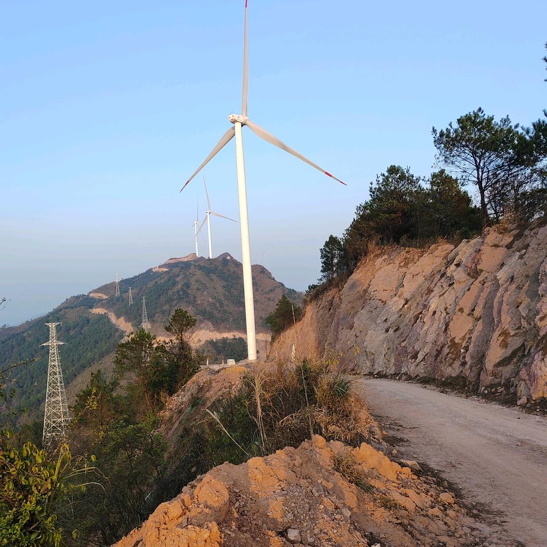人生道路自己闯  🎈