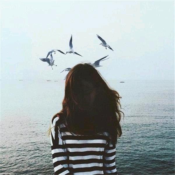 秘制乡村卤味(嘉荣华·阳光新城店)爱达醉卤肉店秘制乡村卤味