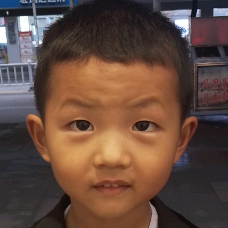 小家伙