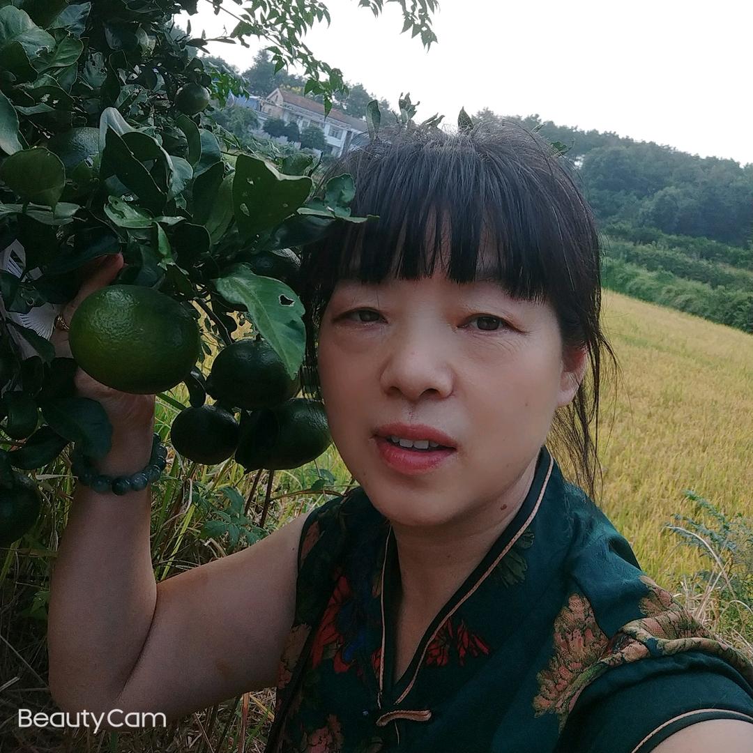 小辣椒网红