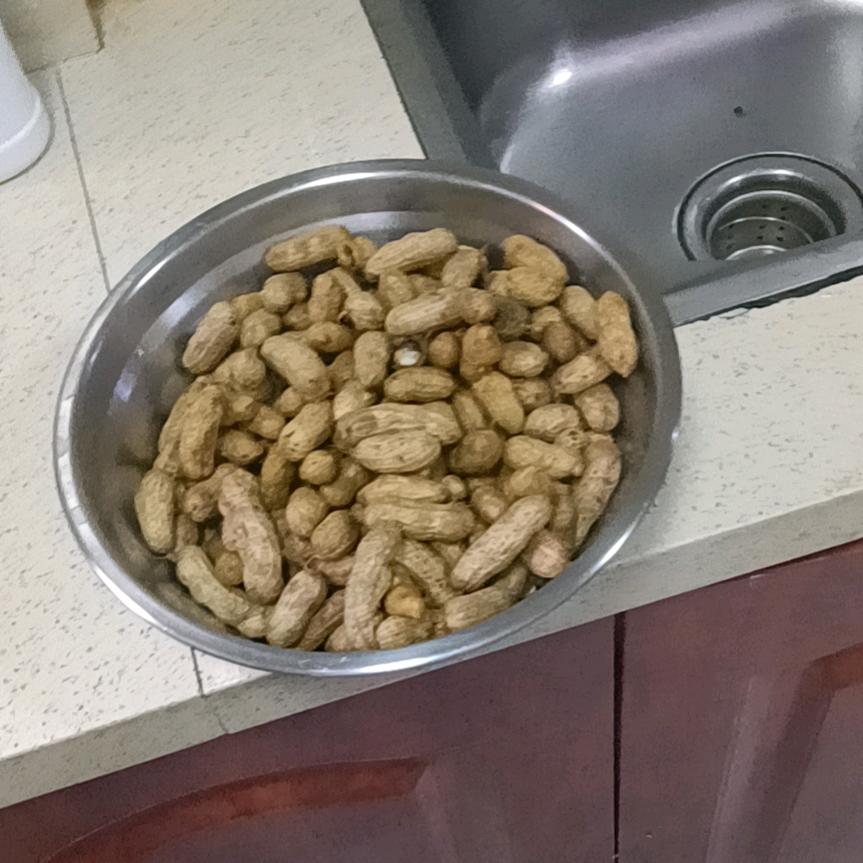 放荡不羁的自由