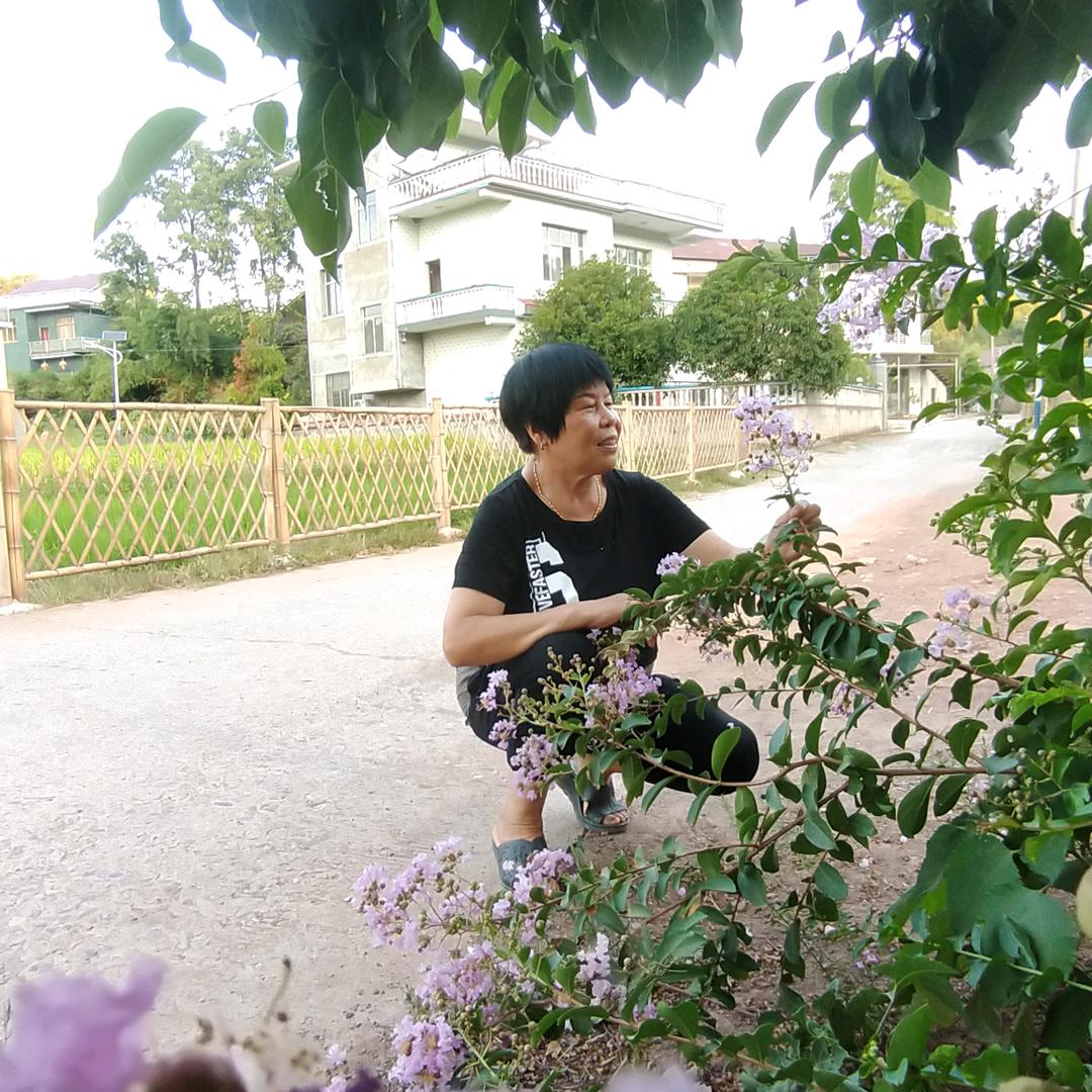 爱跳舞的老奶奶