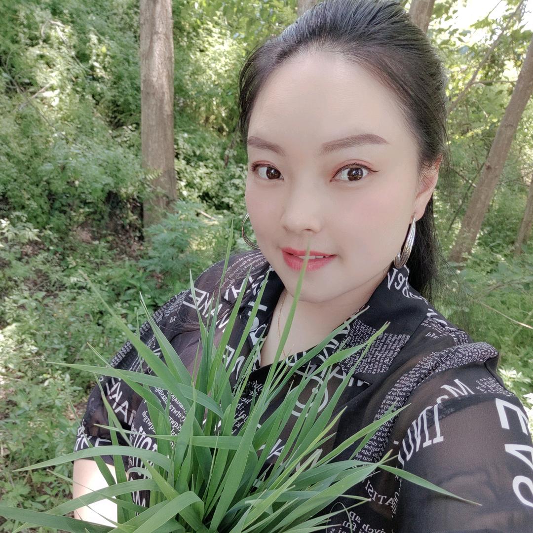 贺莎