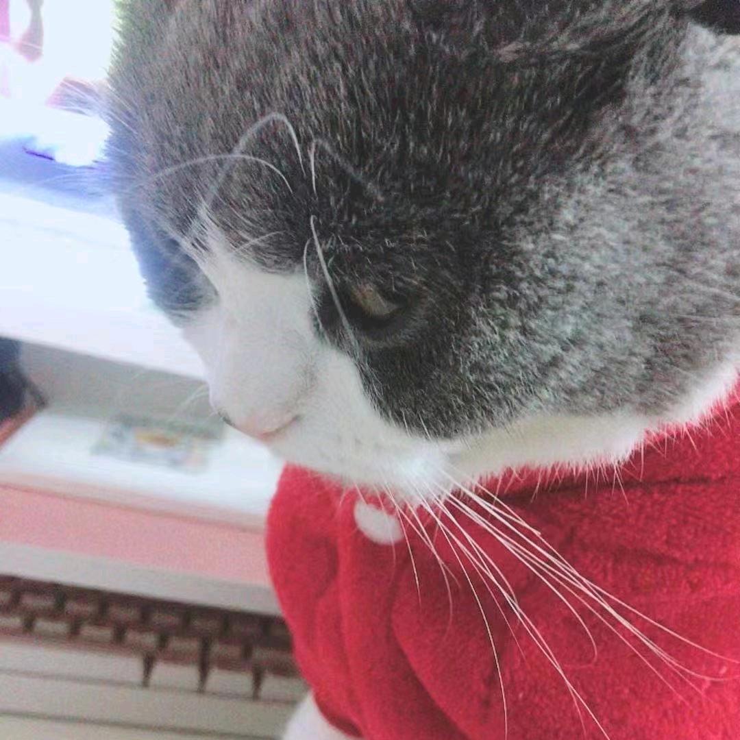 夏涵