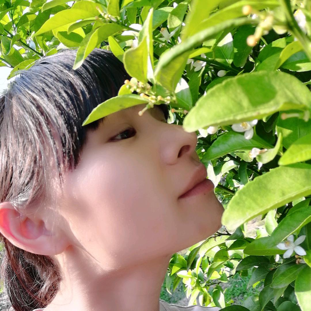 feng柳