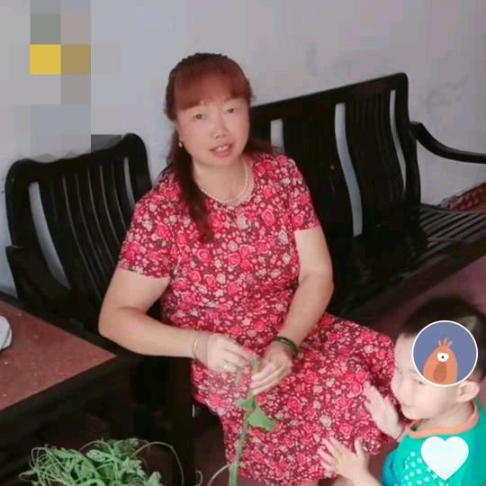 凤