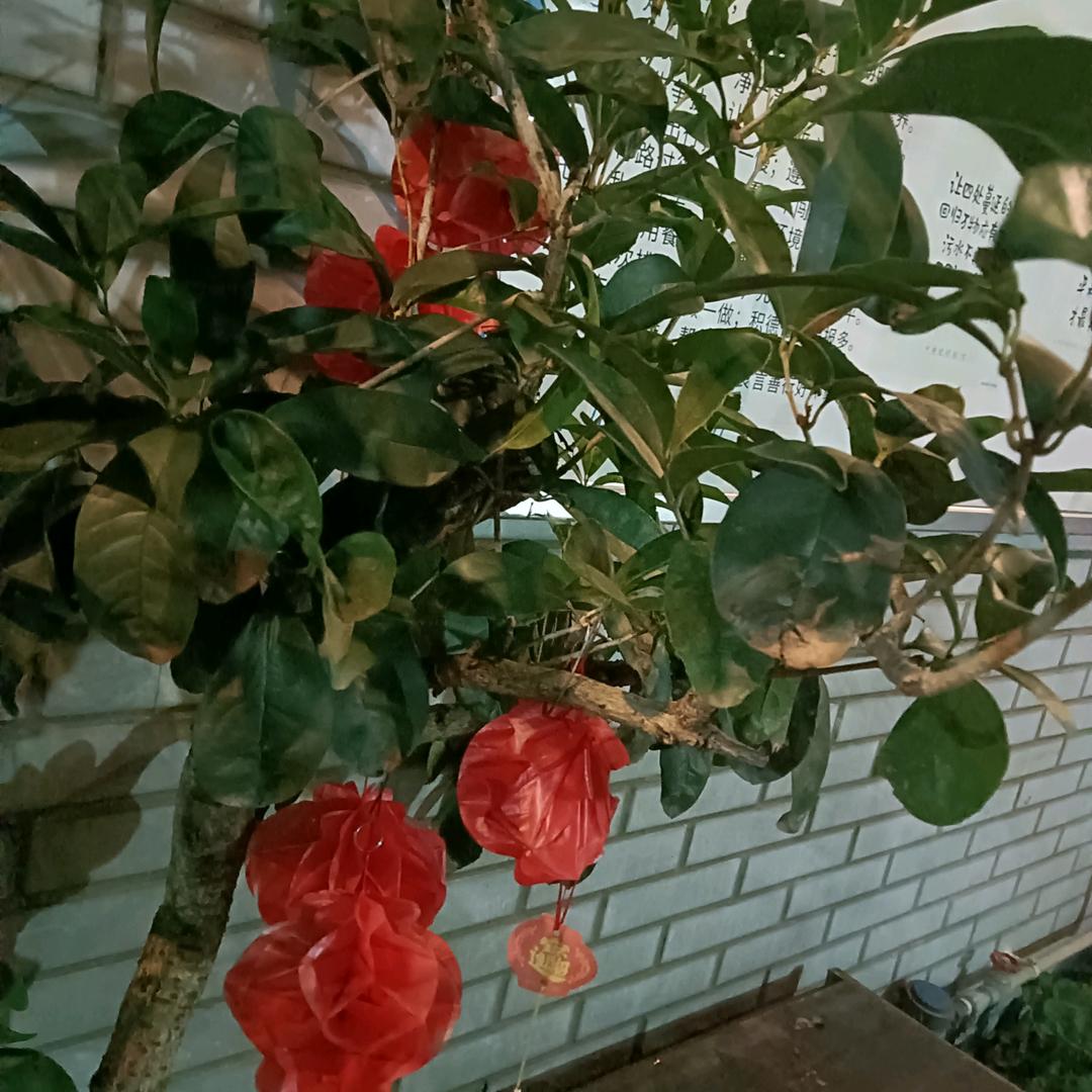 顺其自然