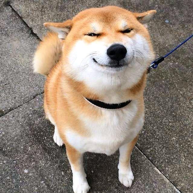 大狗子大