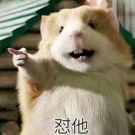 刺挠