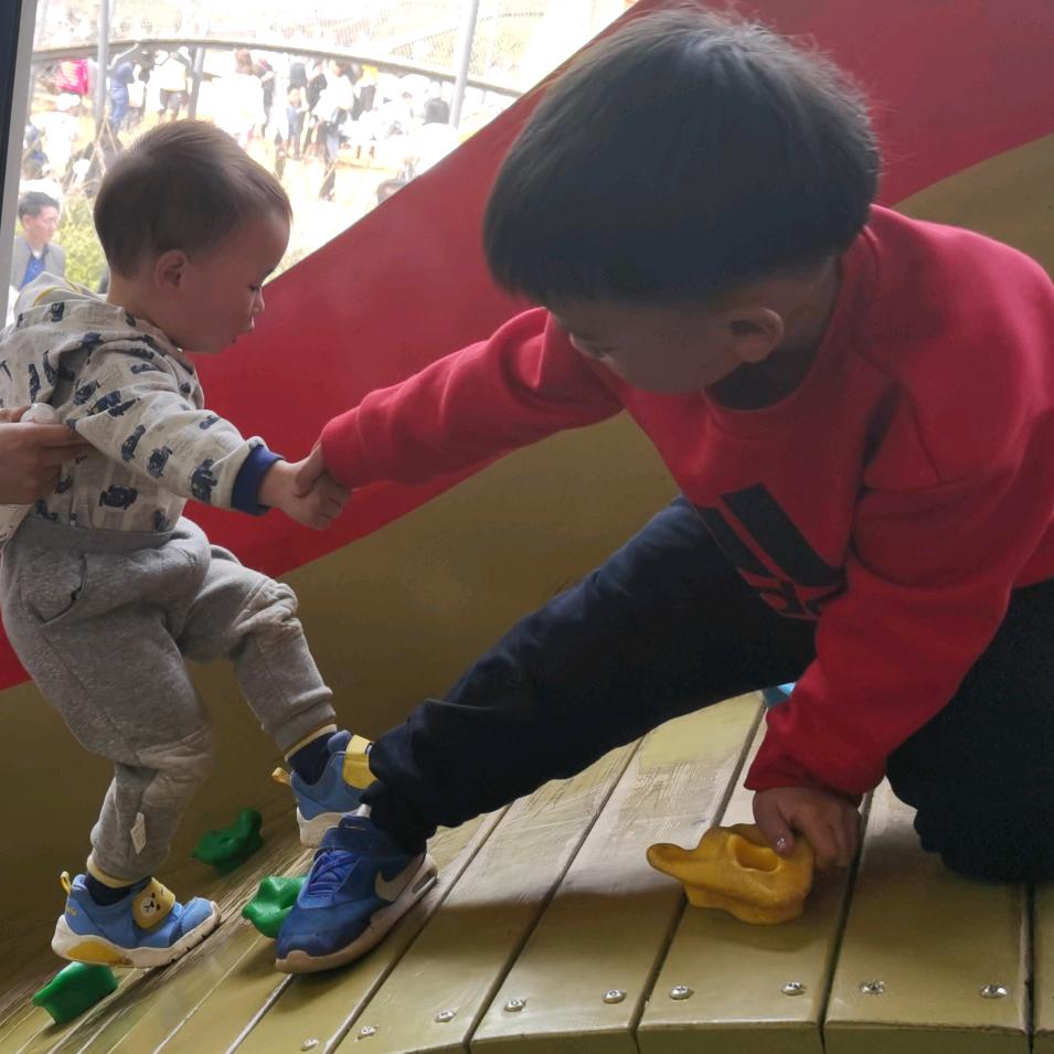 岩橙兄弟