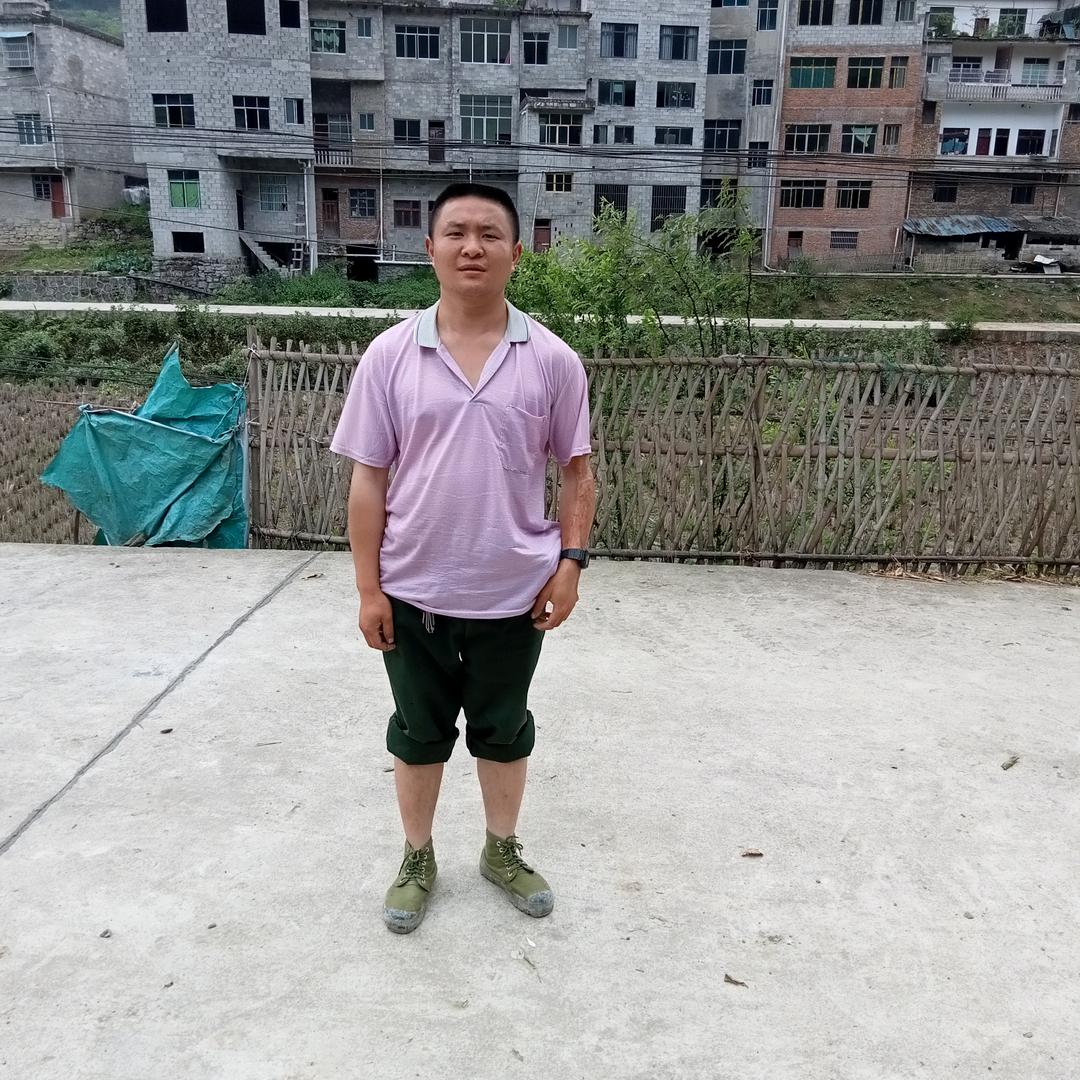 田杰