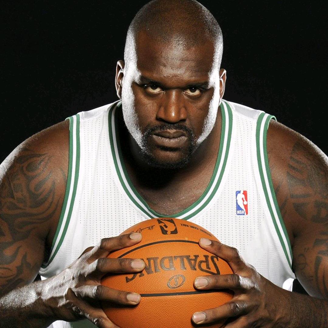 大ヾ(@^鲨^@)ノ 鱼