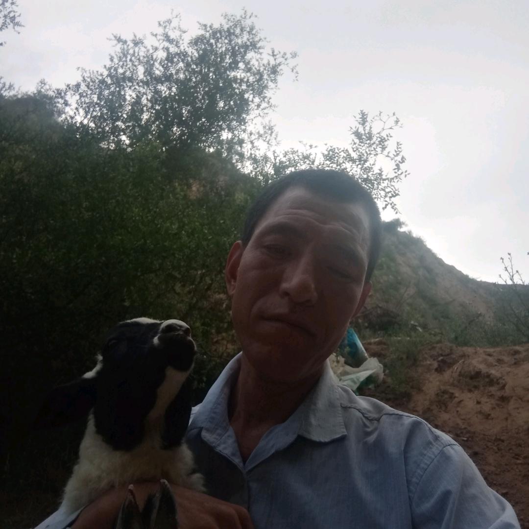 骑上蜗牛奔小康