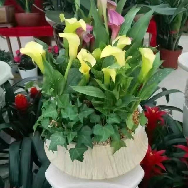 独自一人