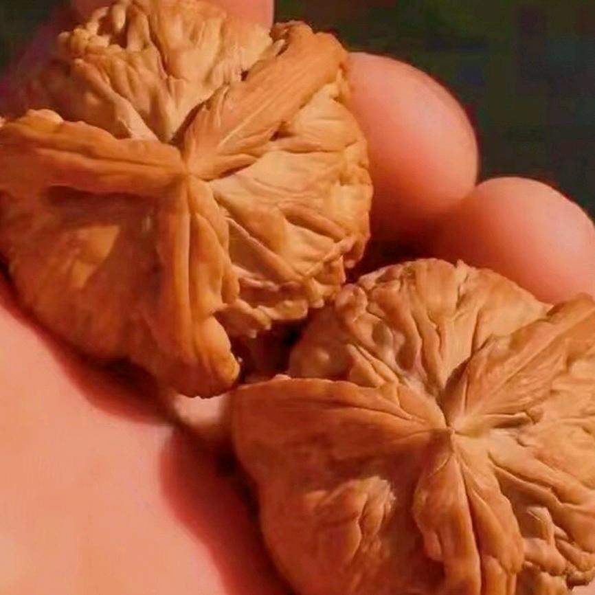 东东文玩
