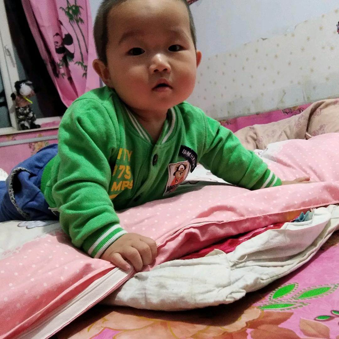 张成果