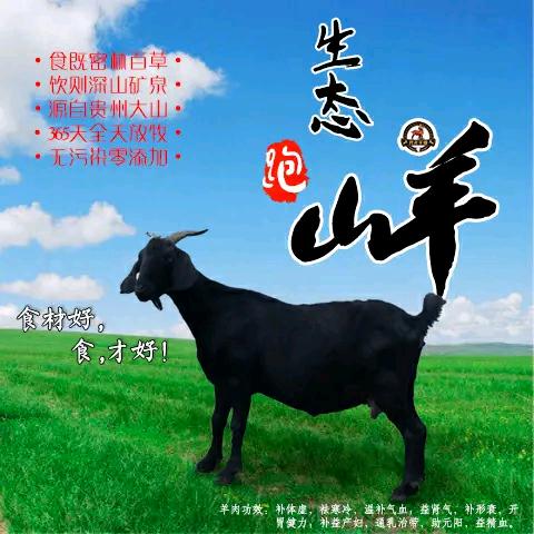 生羊肉批发零售