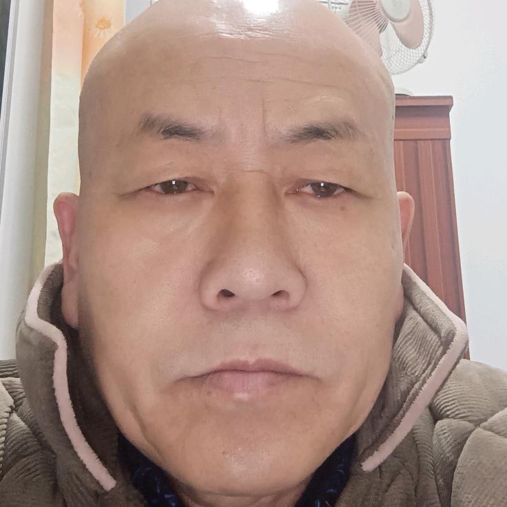 老猫